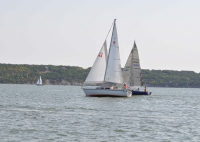 Sailboats on a lake
