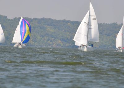 Sailboats on a lake